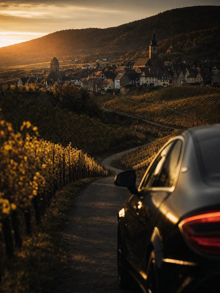 Route des vins